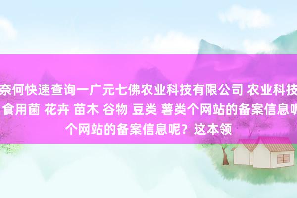 奈何快速查询一广元七佛农业科技有限公司 农业科技开发 蔬菜 食用菌 花卉 苗木 谷物 豆类 薯类个网站的备案信息呢？这本领